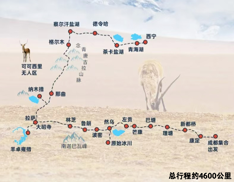微信图片_20250513211408.jpg