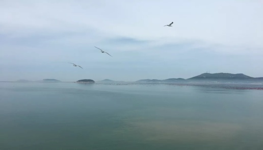 图片8.png