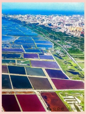 微信图片_20261028224513_828_8.jpg