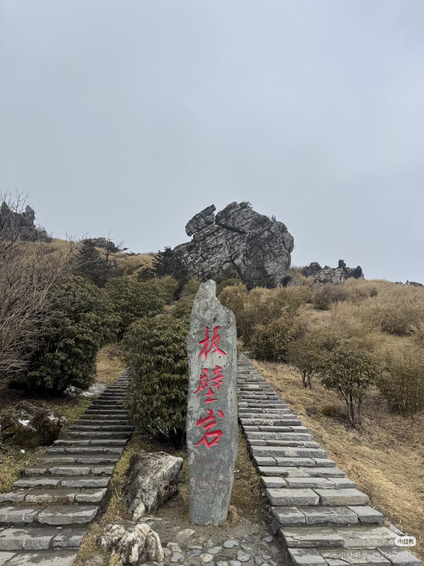 微信图片_20261028233104_868_8.jpg